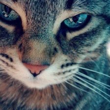 Схема вышивки «№643265»