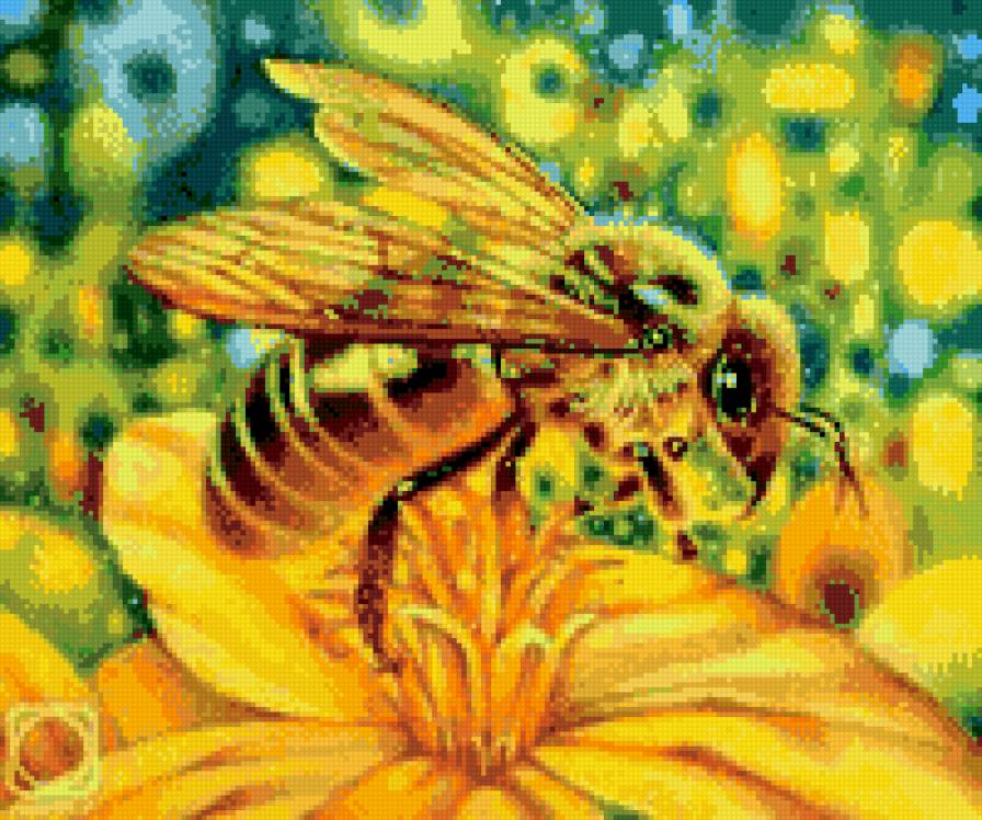 чела - цветок, подсолнух - предпросмотр