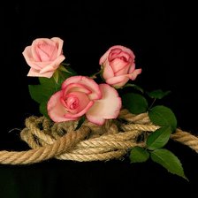 Схема вышивки «№643486»