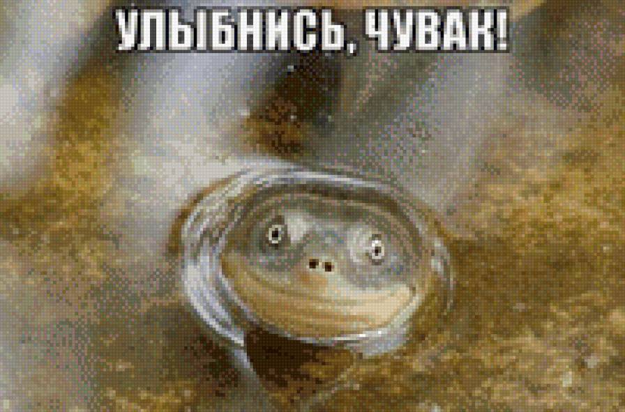 И улыбка, без сомненья, вдруг каснется ваших глаз... - для настроения - предпросмотр