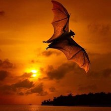 Схема вышивки «Соблазню и укушу»