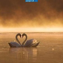 Схема вышивки «Огонь любви»