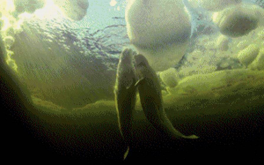 Луч солнца золотого.... - животные, у каждого своя песня - предпросмотр