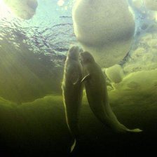 Луч солнца золотого....