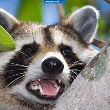 Схема вышивки «Эм... да, я тут живу... наверное...»