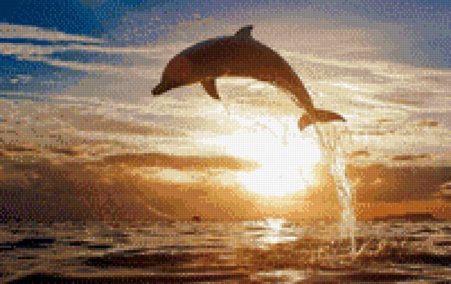 Радость в мелочах - животные - предпросмотр