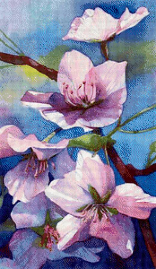 Цветущая ветвь - сакура, цветы - предпросмотр