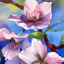 Цветущая ветвь