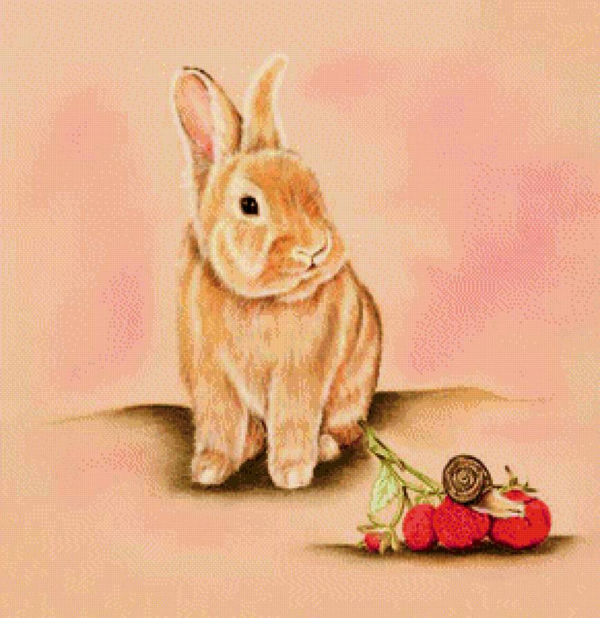 Кролик - животные - предпросмотр