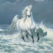 Схема вышивки «Из пены морской»