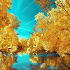 Схема вышивки «№644293»