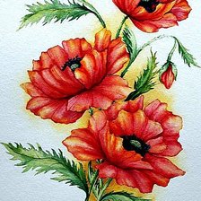 Схема вышивки «Маки»