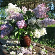 Букет сирени на окне