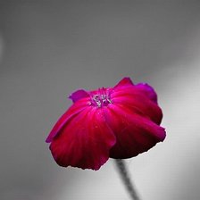 Схема вышивки «Цветок»