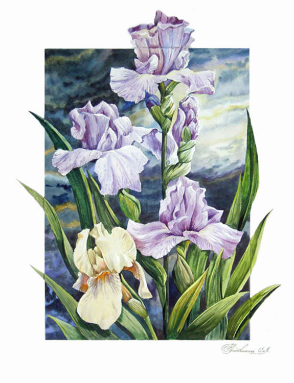 Ирисы - оригинал