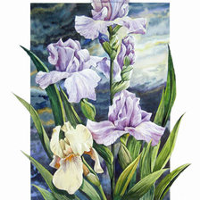 Схема вышивки «Ирисы»