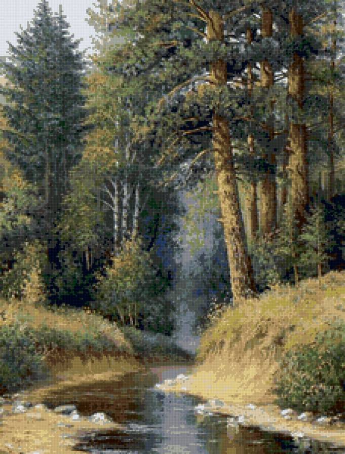 Лесной ручей - пейзаж, вода, сосны, лето, лес - предпросмотр