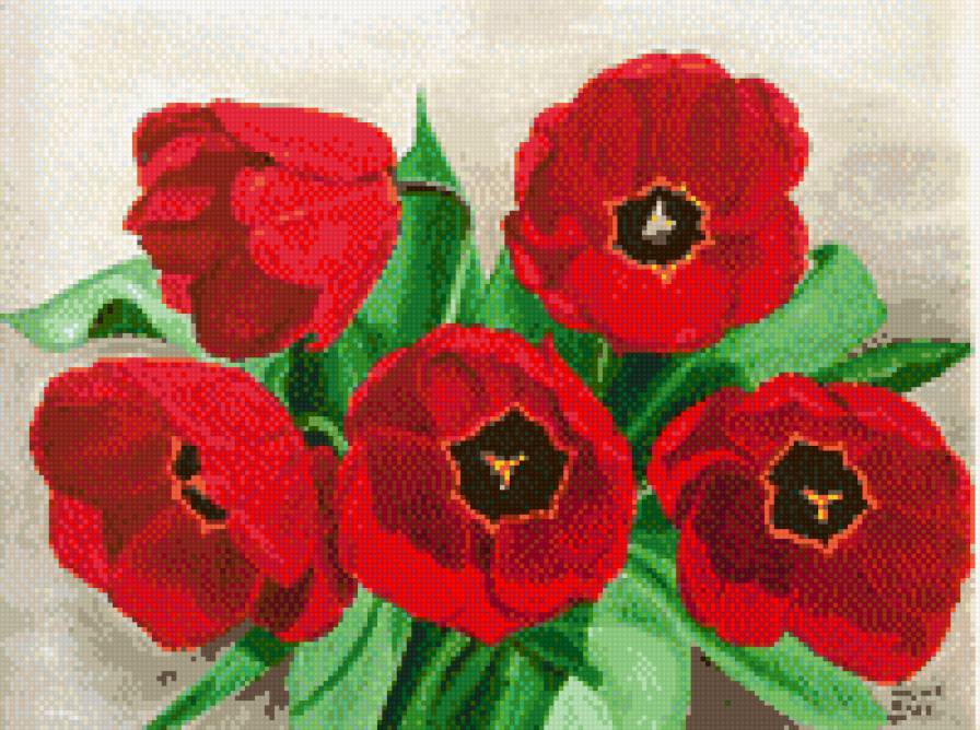 TULIPANES ROJOS CZERWONE TULIPANY - tulipany - предпросмотр