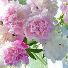 Схема вышивки «№644598»