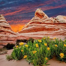 Схема вышивки «№644635»