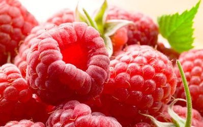 малина - фрукты, малина, ягоды, кухня - оригинал