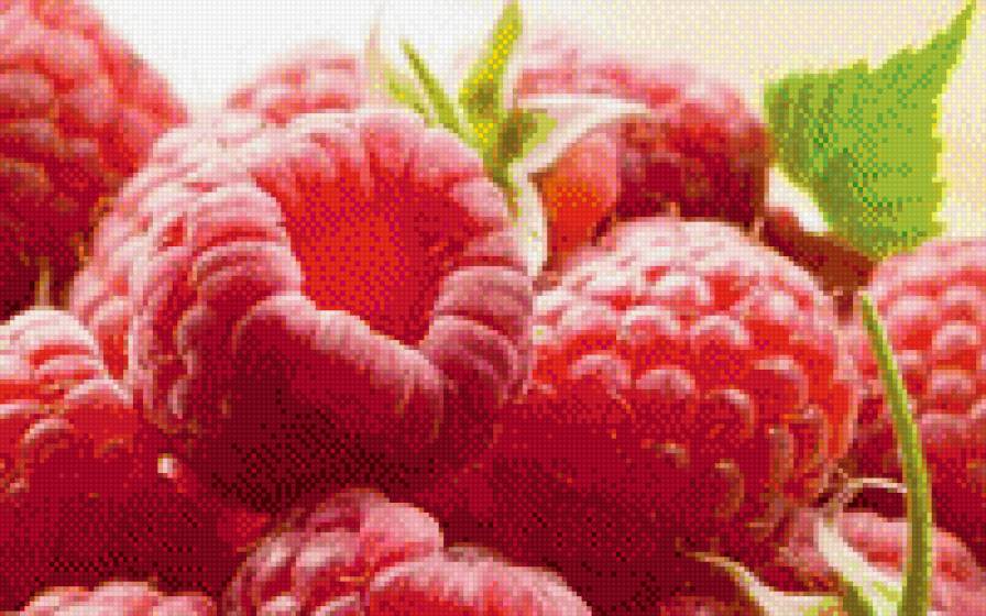 малина - малина, кухня, ягоды, фрукты - предпросмотр