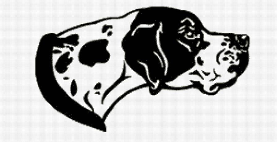 Пойнтер - животные, собака пойнтер, охота - предпросмотр