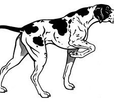 Схема вышивки «Пойнтер охотник»