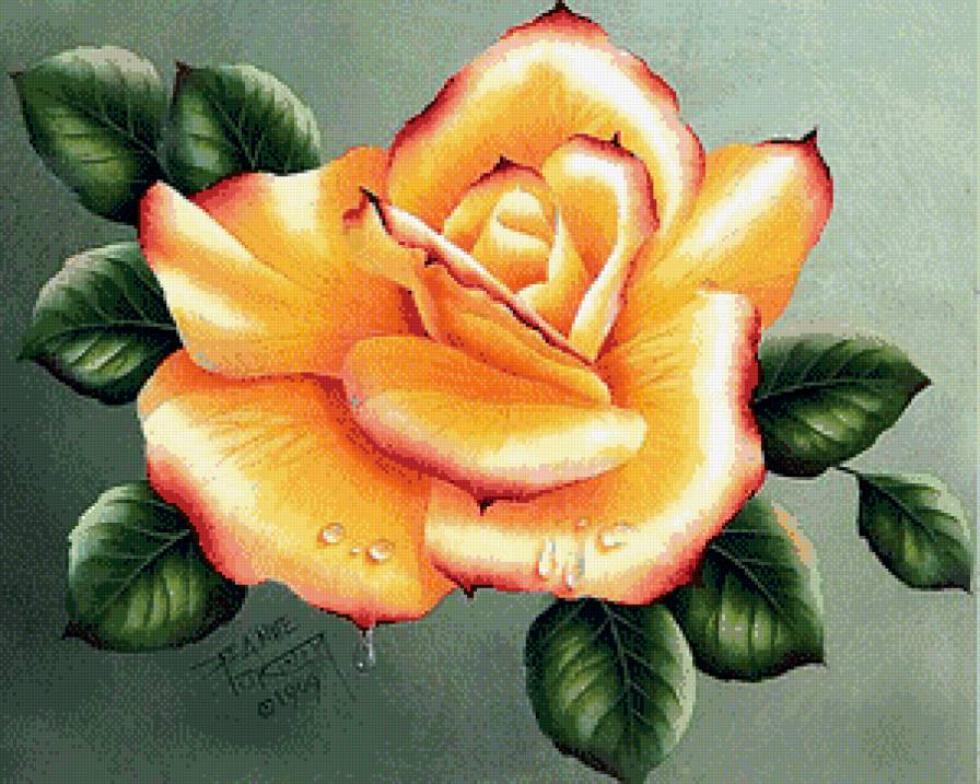 Жёлтая роза - розы, цветы - предпросмотр