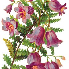 Схема вышивки «№644929»