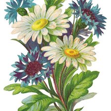 Схема вышивки «№644930»