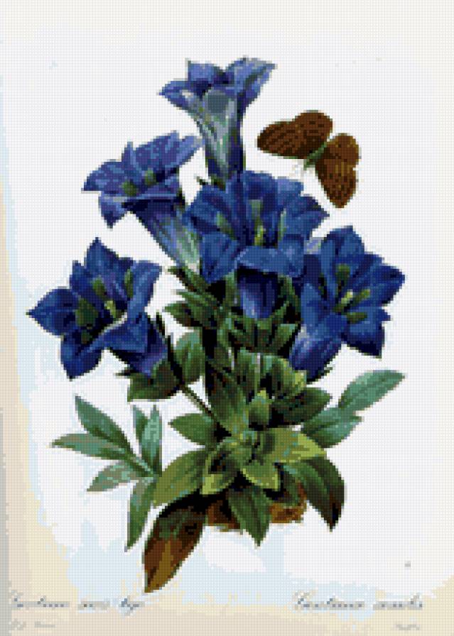 №644931 - предпросмотр