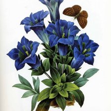 Схема вышивки «№644931»