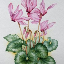 Схема вышивки «№644939»