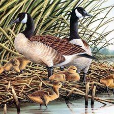 Схема вышивки «№644967»