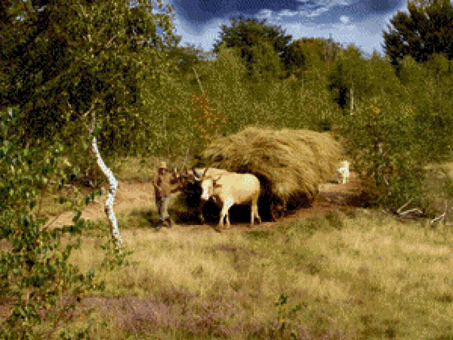 серия "люди" - волы - предпросмотр