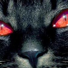 Схема вышивки «№645200»