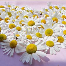 Схема вышивки «№645211»