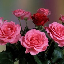 Схема вышивки «№645216»