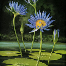 Схема вышивки «Водяная лилия»