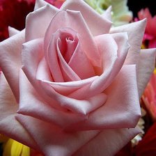 Схема вышивки «№645301»