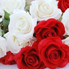 Схема вышивки «№645303»