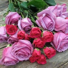 Схема вышивки «№645310»