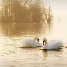 Схема вышивки «№645312»