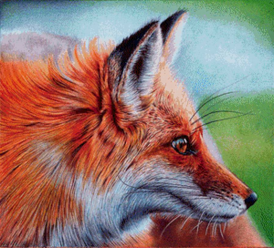 лиса - лиса животные - предпросмотр