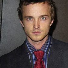 Схема вышивки «Aaron_Paul»