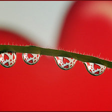 Схема вышивки «Сердечки»