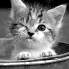 Схема вышивки «котёнок с язычком»