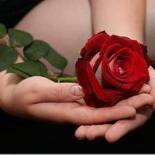 Схема вышивки «роза на ладонях»