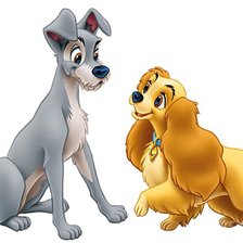 леди и бродяга